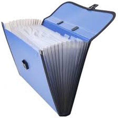 Foldermate Expandable 13 pocket file